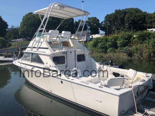 Bertram 28 Flybridge recensioni e scheda tecnica 